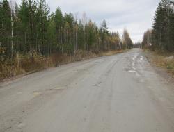 Kareliya, Finlandiya sərhədinə yaxın meşələr