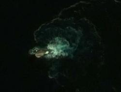 На Google-картах нашли гигантское морское чудовище